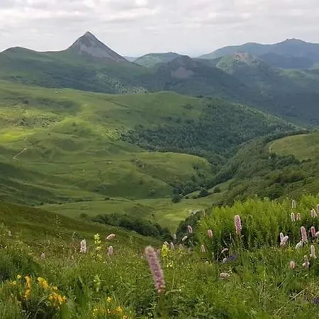 Entre Salers Et Le Puy Mary Dans Le Cantal *
