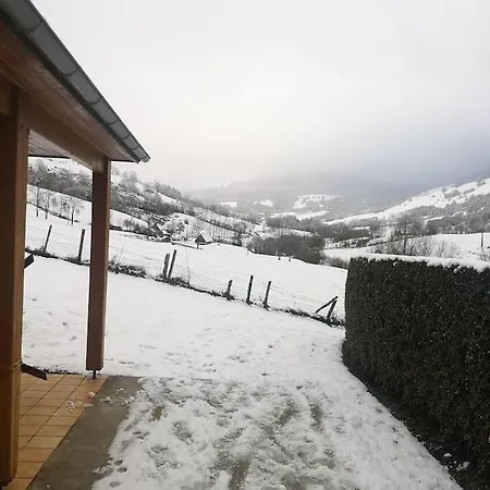 Entre Salers Et Le Puy Mary Dans Le Cantal *