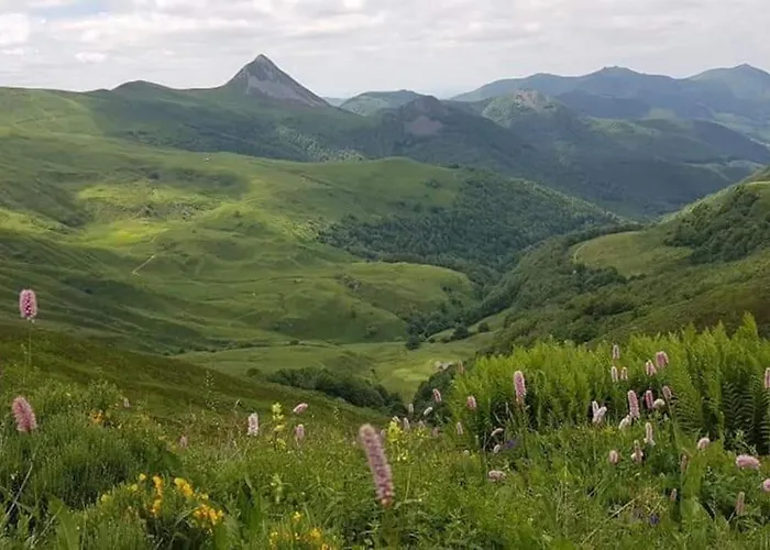 Entre Salers Et Le Puy Mary Dans Le Cantal *